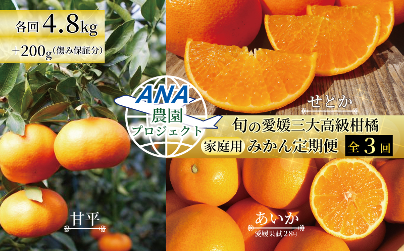 【2025年12月上旬から発送】【定期便 全3回】旬の愛媛三大高級柑橘 家庭用 愛果28号 せとか 甘平 | 柑橘 みかん 果物 くだもの フルーツ おすすめ 高級 人気 お取り寄せ グルメ ギフト 期間限定 数量限定 ご当地 愛媛県 松山市