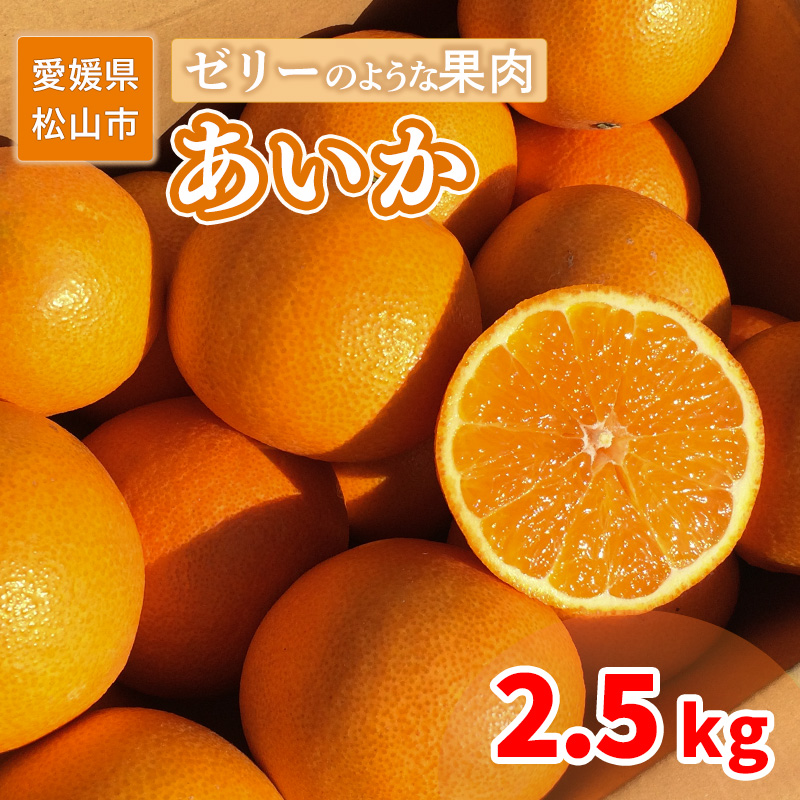 愛果28号 家庭用 2.5kg 【12月上旬から発送】 2.5kg ¥14,000