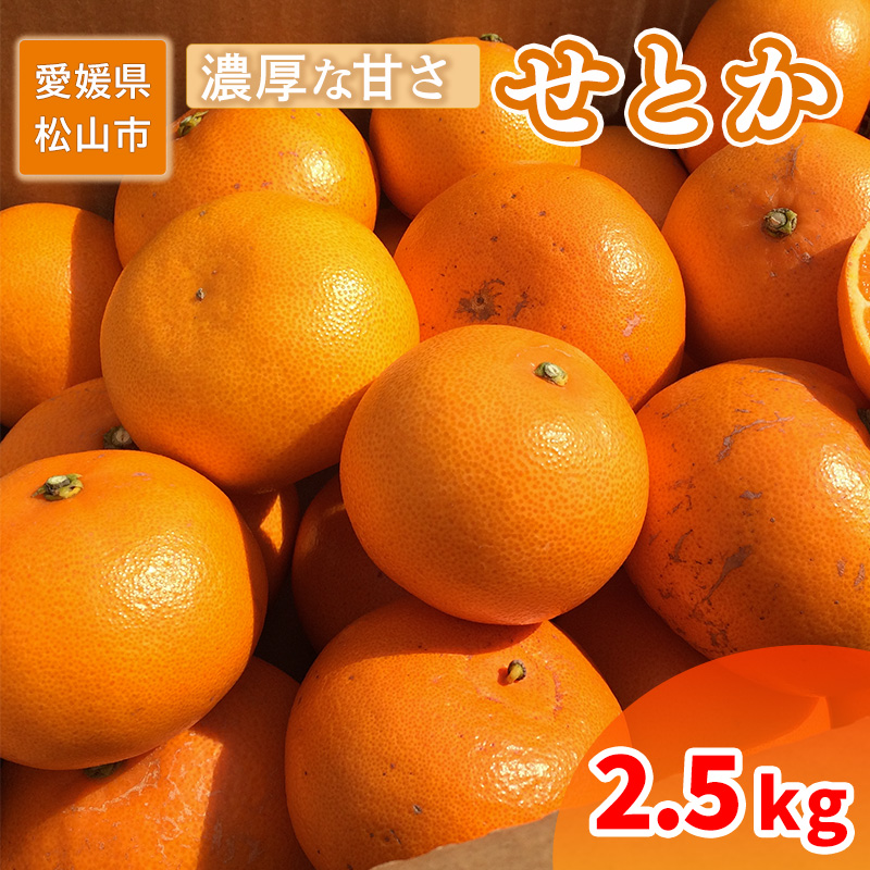 せとか 家庭用 2.5kg 【2月中旬から発送】 2.5kg / 11,000