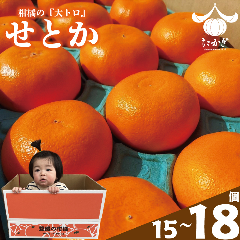 せとか 15個~18個入