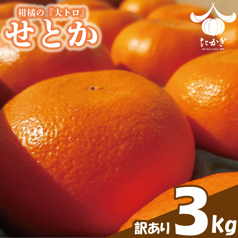 せとか 約3kg