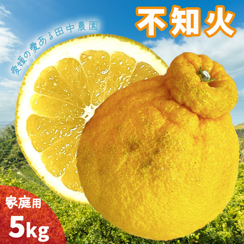 不知火 しらぬい 約5kg  家庭用【2月下旬から順次発送】でこぽんと同品種