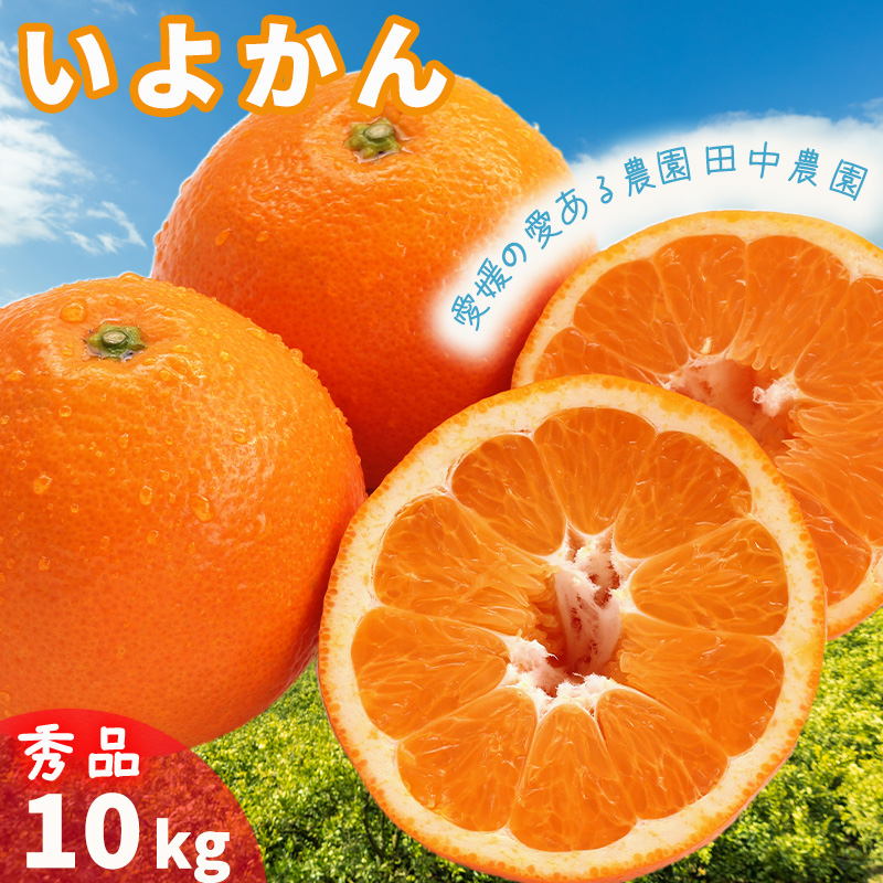伊予柑 いよかん 約10kg 秀品【1月上旬から順次発送】