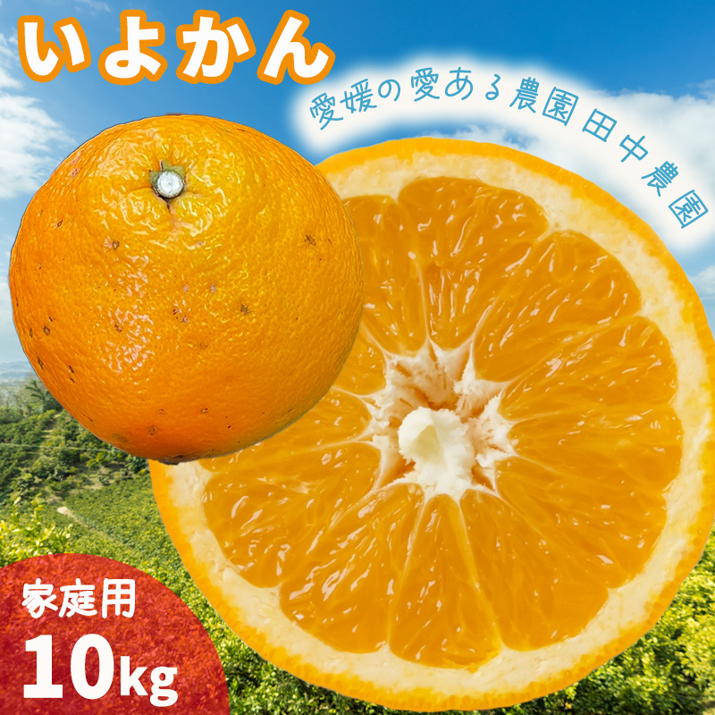 伊予柑 いよかん 約10kg 【家庭用】【1月上旬から順次発送】