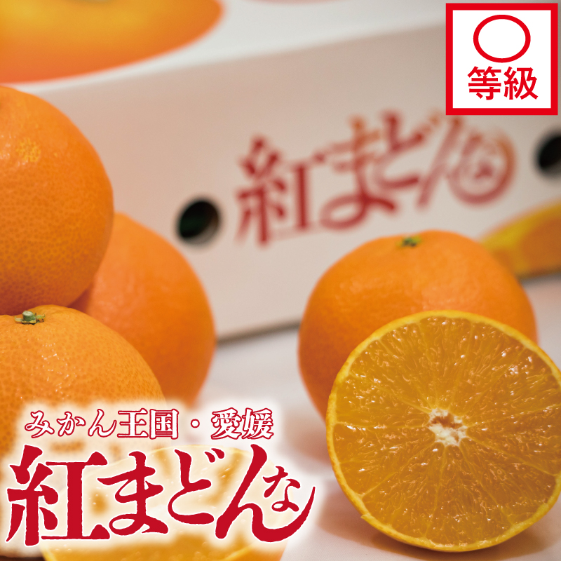 【先行予約】【2025年11月下旬以降順次発送】数量限定 紅まどんな 〇等級 化粧箱 L玉～5L玉 高級 紅まどんな 柑橘 フルーツ 個包装 紅マドンナ 果物 おすすめ柑橘紅まどんな 高級柑橘の紅まどんな くだもの 人気 おすすめ 贈答 ギフト 紅まどんな 愛媛県 松山市 送料無料 えひめのフルーツ紅まどんな マドンナ まどんな