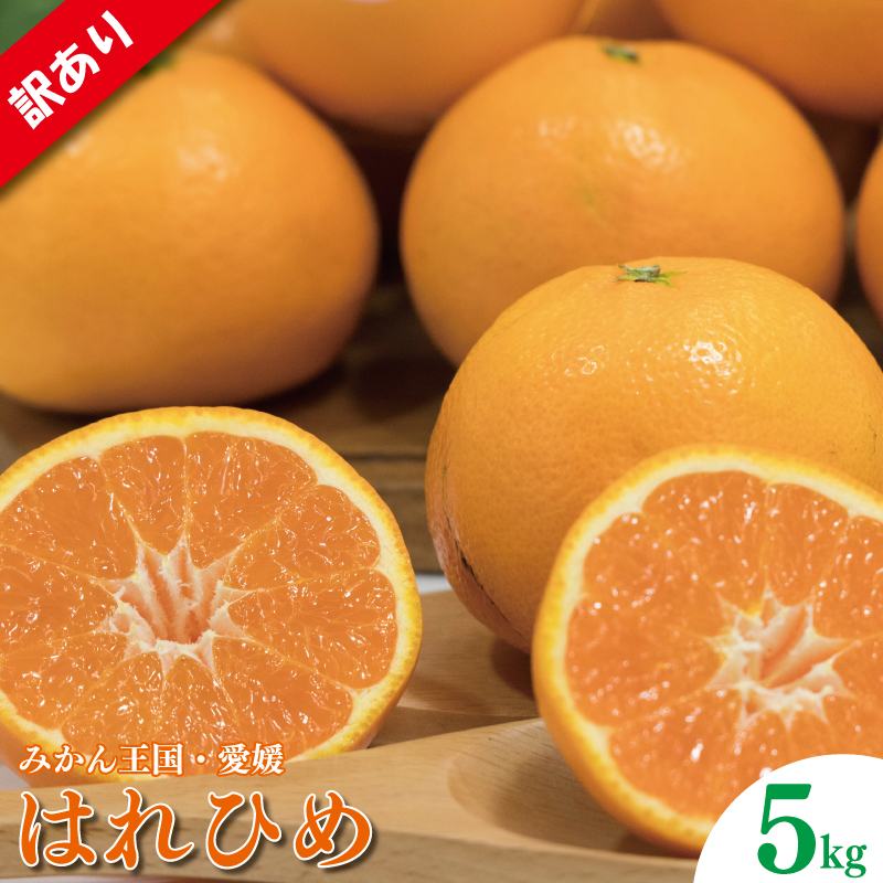 訳あり 家庭用 はれひめ S~3L玉 約5㎏ ( 訳あり はれひめ みかん 柑橘 松山 愛媛県) 約5kg