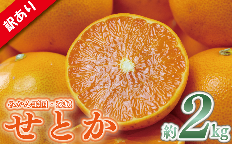 訳あり みかん 家庭用 せとか 約2㎏( 訳あり みかん 訳あり柑橘 訳あり商品 せとか みかん 柑橘 松山 愛媛県 )