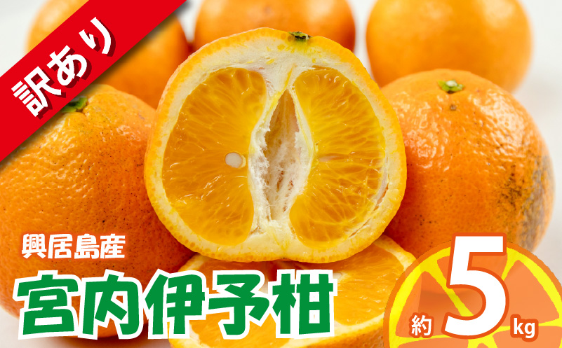 訳あり 宮内伊予柑 興居島産 約5kg 【2026年1月下旬から順次発送】 訳あり みかん 訳あり柑橘 訳あり商品 伊予柑 いよかん みかん 宮内いよかん 興居島産 柑橘 松山 愛媛県 約5kg ¥6,000