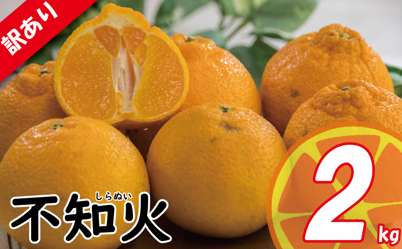 訳あり みかん 家庭用 不知火 しらぬい 約2㎏ ( 訳あり みかん 訳あり柑橘 訳あり商品 不知火 しらぬい みかん 柑橘 でこぽん デコポン と同品種  松山 愛媛県 )