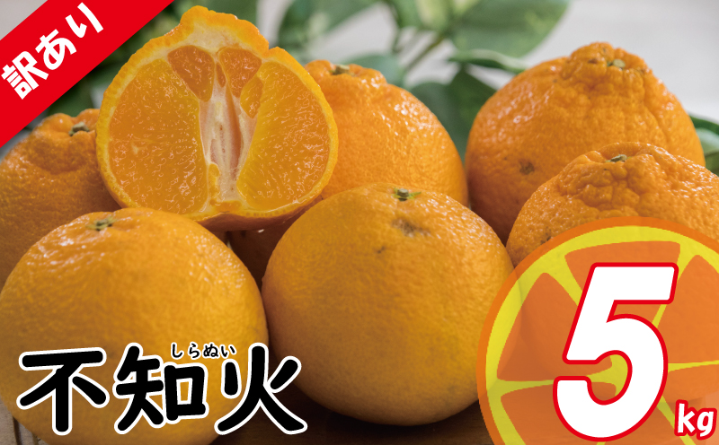 訳あり みかん 家庭用 不知火 しらぬい 約5㎏ ( 訳あり みかん 訳あり柑橘 訳あり商品 不知火 しらぬい みかん 柑橘 でこぽん デコポン と同品種  松山 愛媛県 )