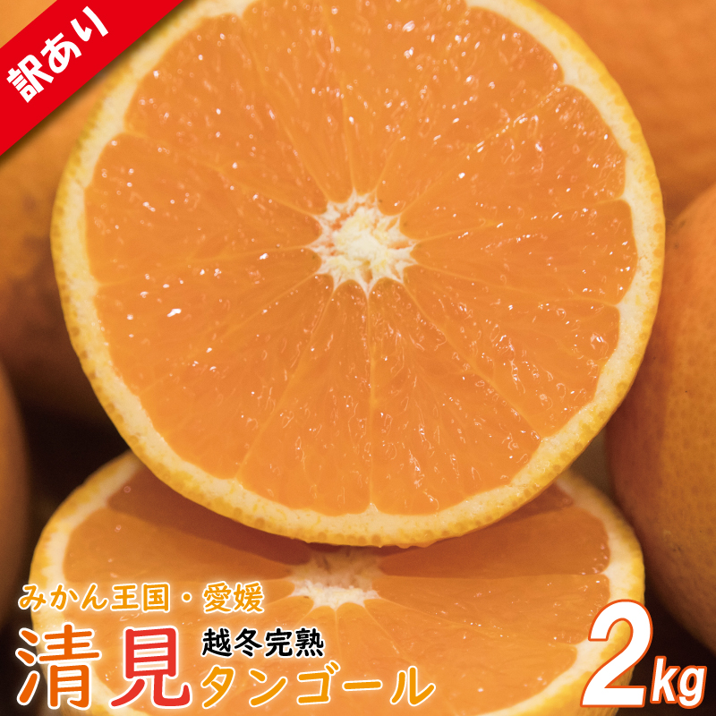 訳あり 清見タンゴール M-3L 約2kg みかん ミカン 柑橘 フルーツ 果物