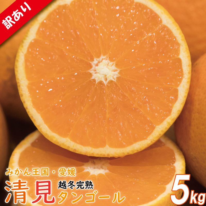 訳あり 清見タンゴール M-3L 約5kg みかん ミカン 柑橘 フルーツ 果物