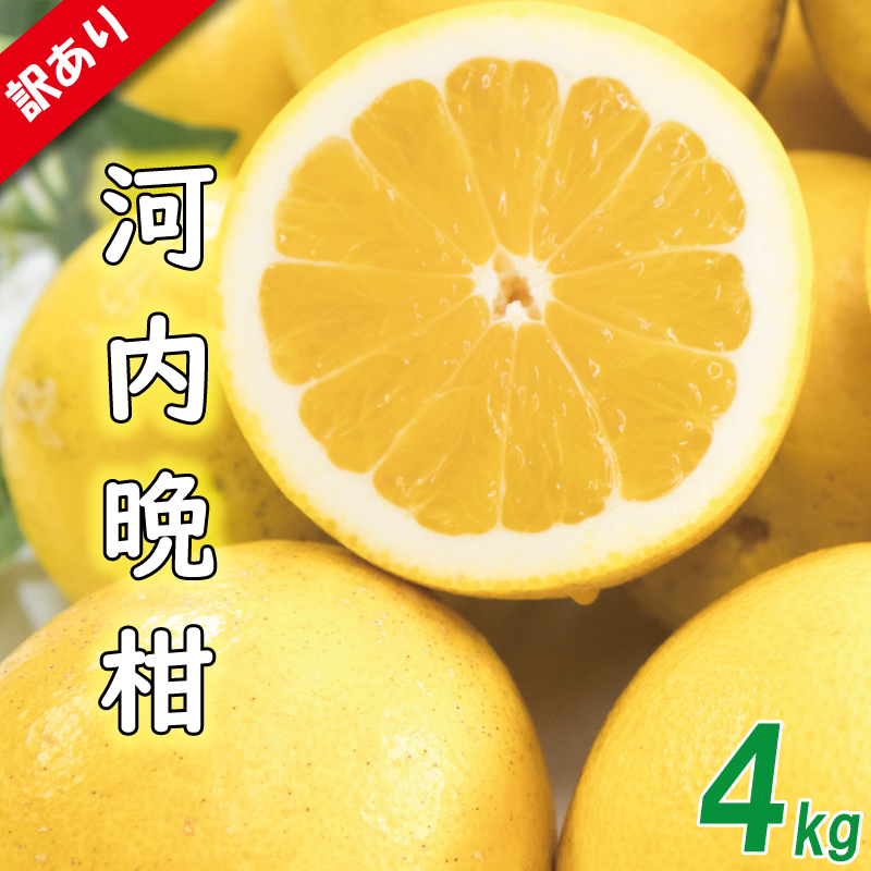 訳あり 河内晩柑 サイズ不揃い 約4kg
