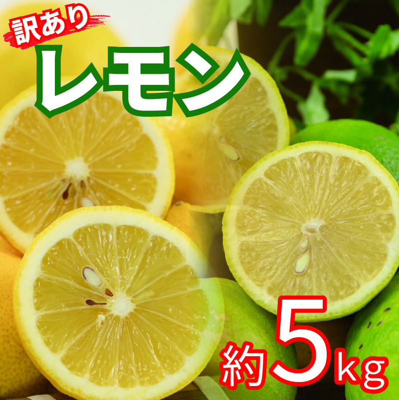 訳あり レモン サイズ不揃い 約5kg | 訳あり れもん レモン グリーンレモン イエローレモン 檸檬 国産 旬のフルーツ 愛媛県 松山市 5kg ¥8,000
