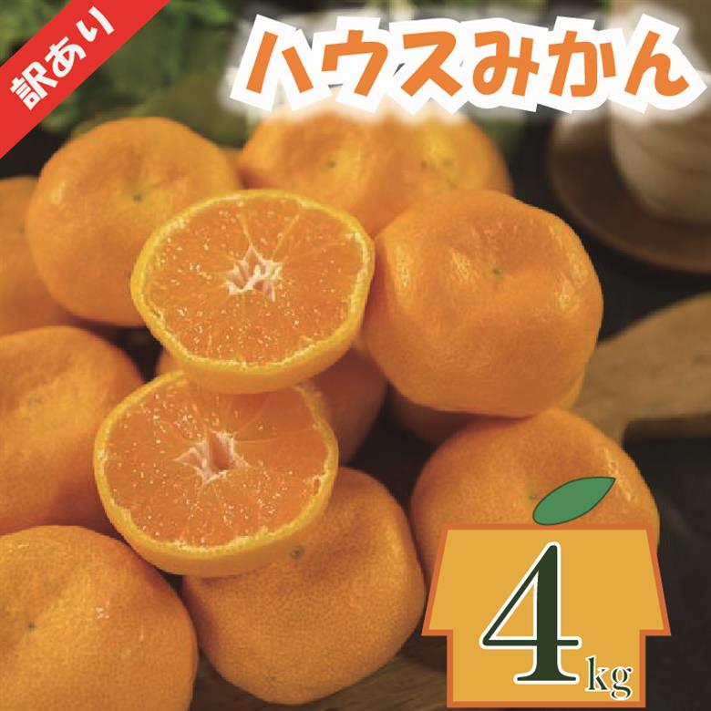 【順次発送中】訳あり ハウスみかん 約4kg | 柑橘 果物 くだもの フルーツ みかん ミカン 蜜柑 mikan mican 不揃い 傷 ワケアリ 訳アリ 愛媛県 松山市 約4kg