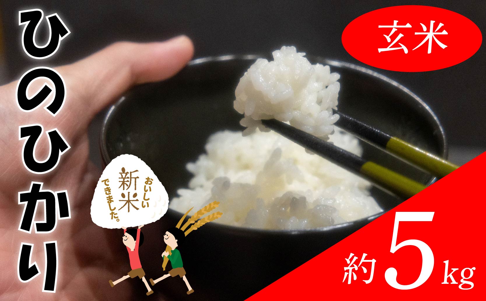 【玄米】ひのひかり 約5kg | お米 愛媛県産米 ふるさと納税お米 こめ ご飯 ご飯のおとも ご飯 おにぎり 弁当 おこめ ごはん 飯 愛媛県 松山市 玄米