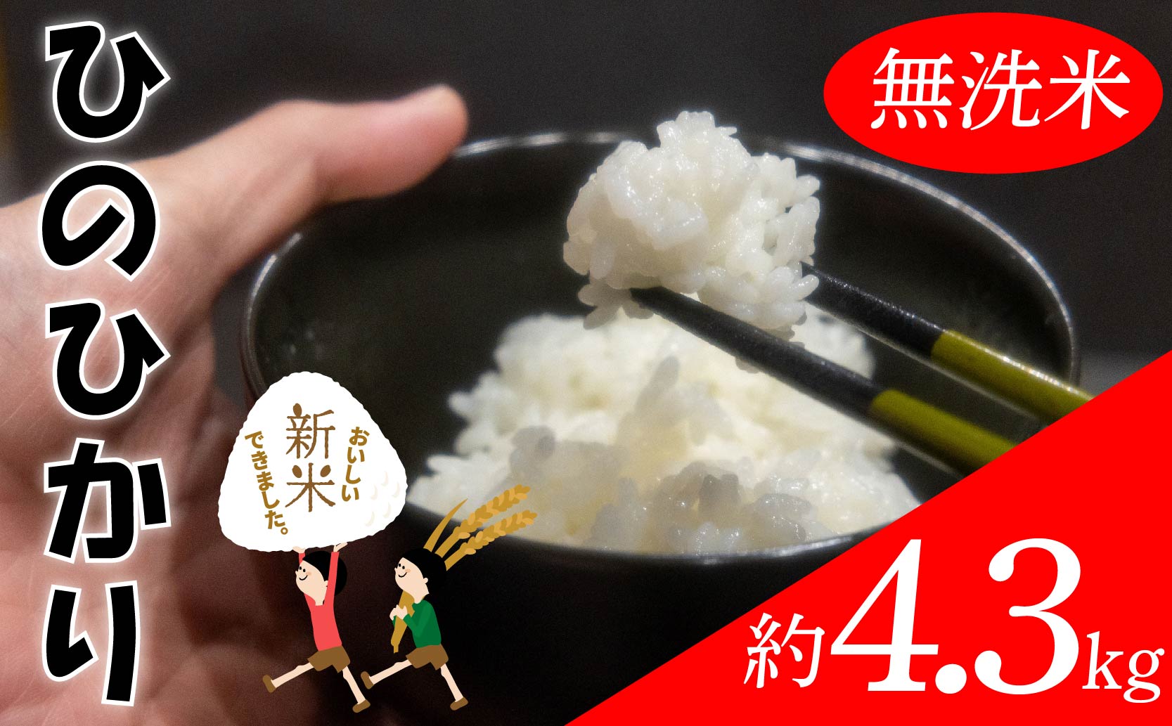 【無洗米】ひのひかり 約4.3kg | お米 愛媛県産米 ふるさと納税お米 こめ ご飯 ご飯のおとも ご飯 おにぎり 弁当 おこめ ごはん 飯 愛媛県 松山市 無洗米