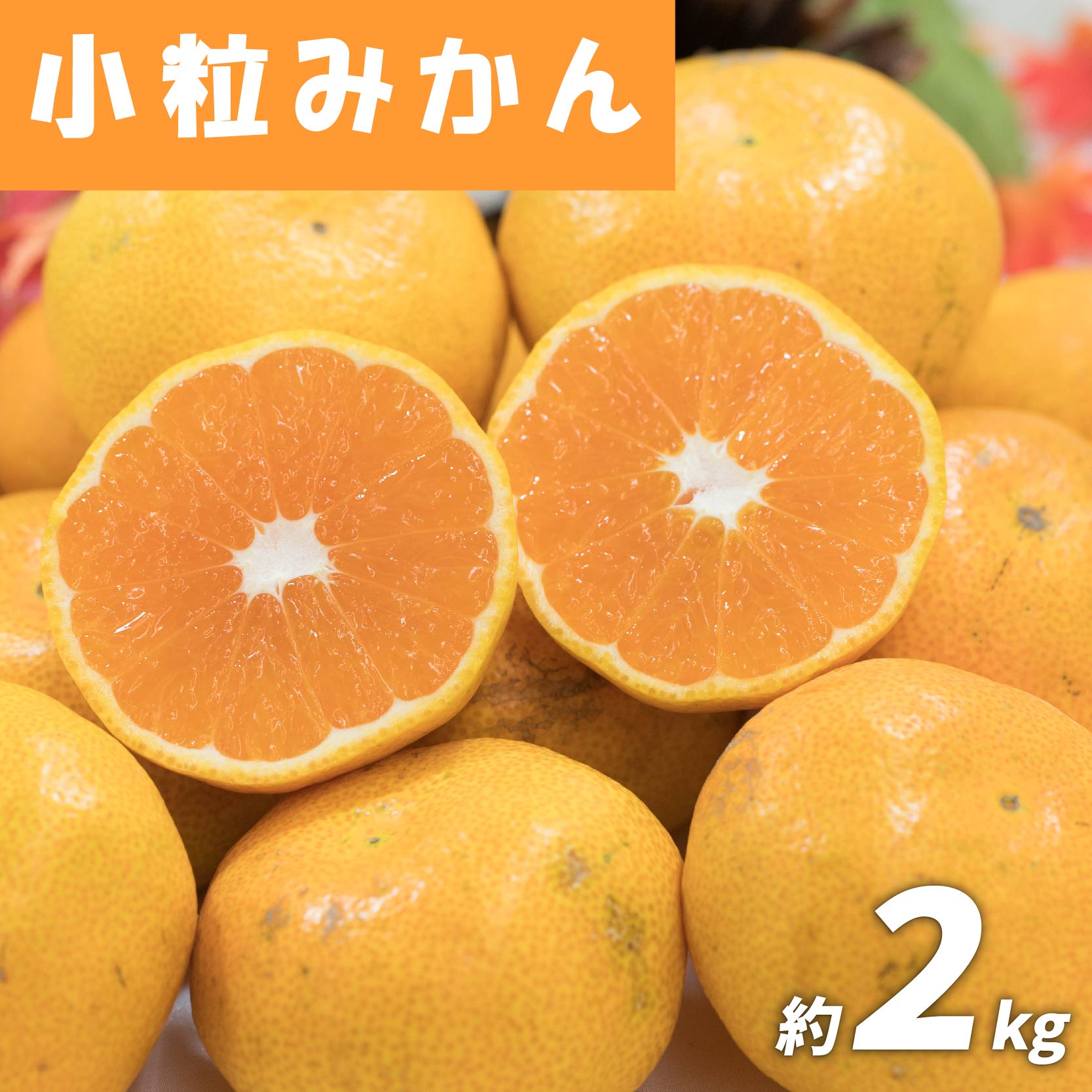 小粒みかん 約2㎏ ( 訳あり みかん 訳ありみかん 訳あり商品 みかん 訳ありみかん 柑橘 松山 愛媛県 )