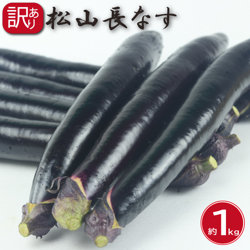 訳あり 松山長なす 約1kg | 夏野菜 茄子 わけあり 不揃い ナス 長なす ワケアリ 長ナス 野菜 国産 国内産 愛媛県 松山市 約1kg