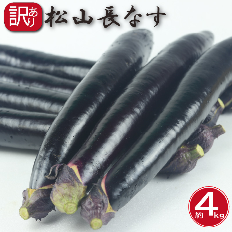 訳あり 松山長なす 約4kg | 夏野菜 茄子 わけあり 不揃い ナス 長なす ワケアリ 長ナス 野菜 国産 国内産 愛媛県 松山市 約4kg