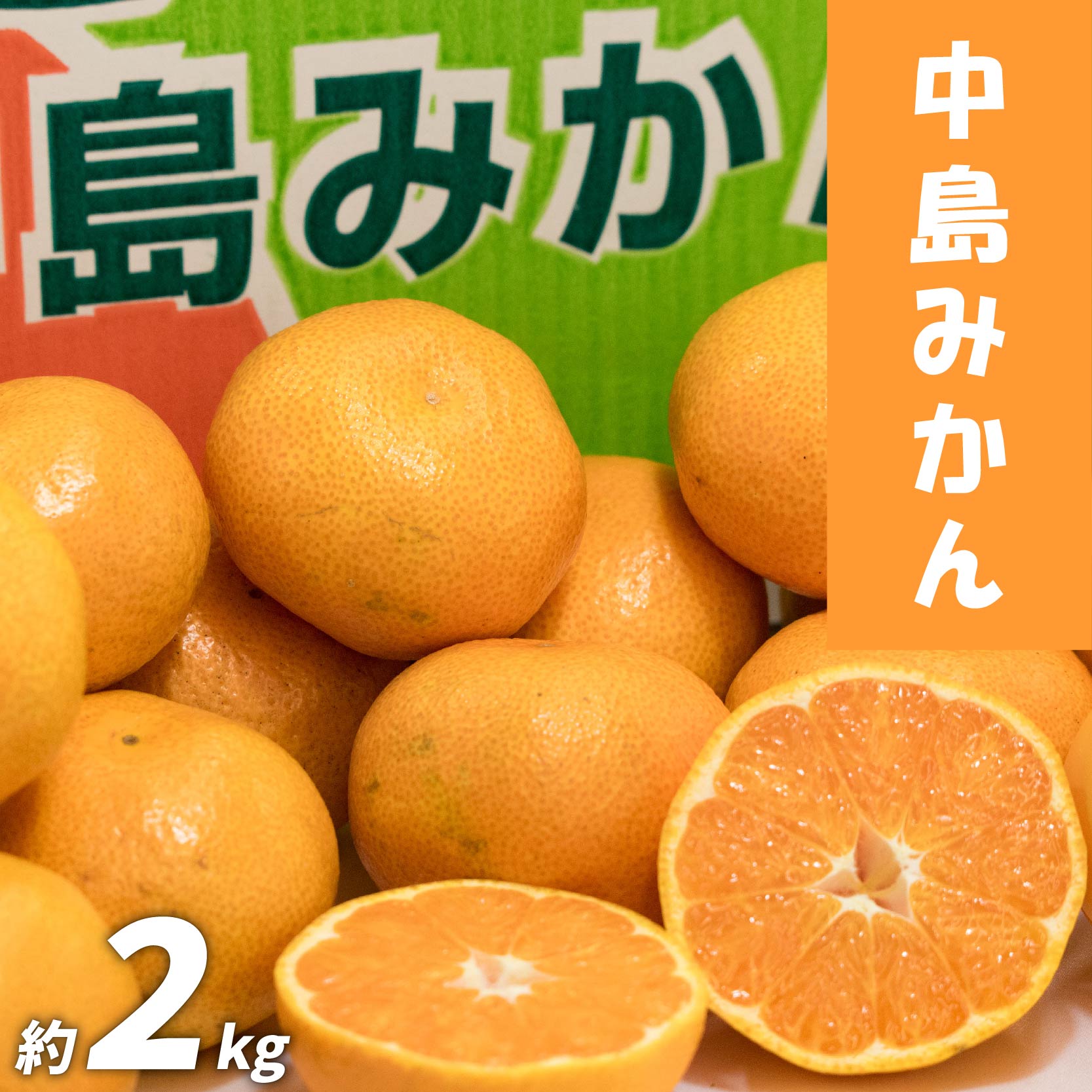 中島みかん 約2㎏ ( 訳あり みかん 訳ありみかん 訳あり商品 みかん 訳ありみかん 柑橘 松山 愛媛県 )