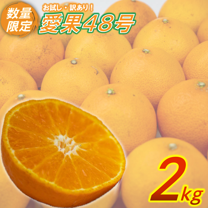 訳あり 愛果48号 2kg 柑橘 果物 くだもの フルーツ みかん ミカン mikan mican 不揃い 傷 ワケアリ 訳アリ 愛媛県 松山市