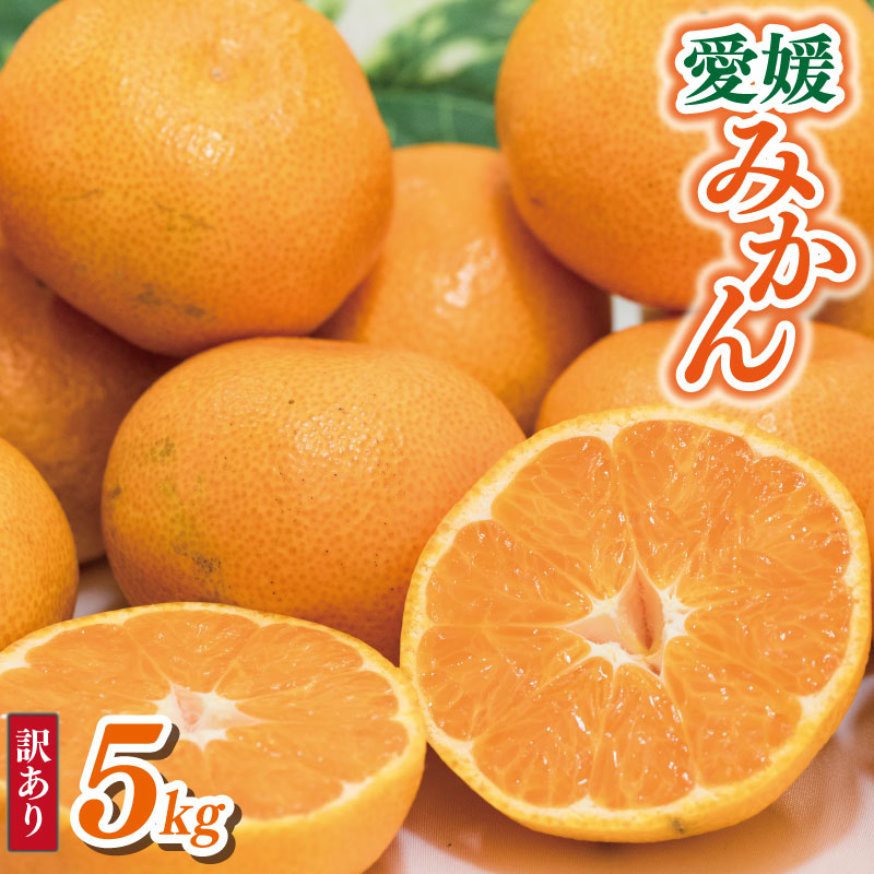 【順次発送中】 訳あり 愛媛みかん 約5kg | えひめみかん 愛媛のみかん 温州みかん みかん 温州ミカン 柑橘 果物 蜜柑 えひめのみかん くだもの フルーツ みかん ミカン mikan mican 不揃い 傷 ワケアリ 訳アリ 愛媛県 松山市 約5kg