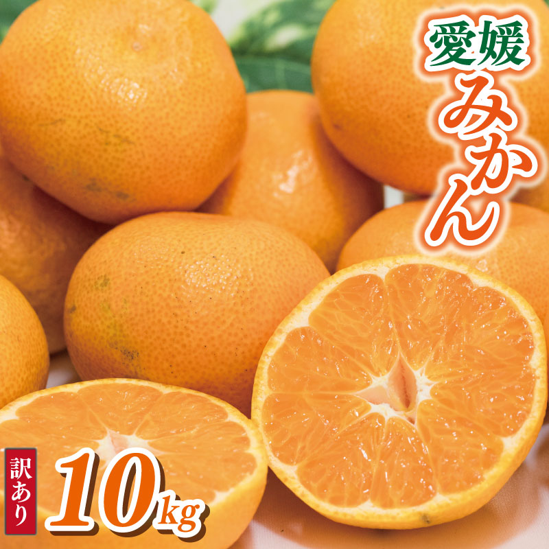 【順次発送中】 訳あり 愛媛みかん 約10kg | えひめみかん 愛媛のみかん 温州みかん みかん 温州ミカン 柑橘 果物 蜜柑 えひめのみかん くだもの フルーツ みかん ミカン mikan mican 不揃い 傷 ワケアリ 訳アリ 愛媛県 松山市 約10kg