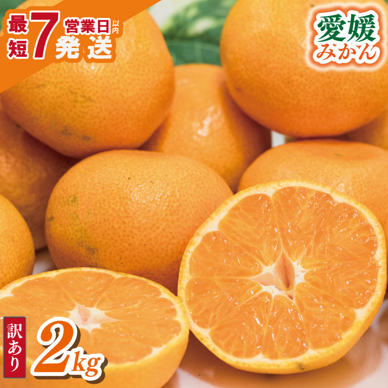 【順次発送中】 訳あり 愛媛みかん 約2kg | えひめみかん 愛媛のみかん 温州みかん みかん 温州ミカン 柑橘 果物 蜜柑 えひめのみかん くだもの フルーツ みかん ミカン mikan mican 不揃い 傷 ワケアリ 訳アリ 愛媛県 松山市 約2kg