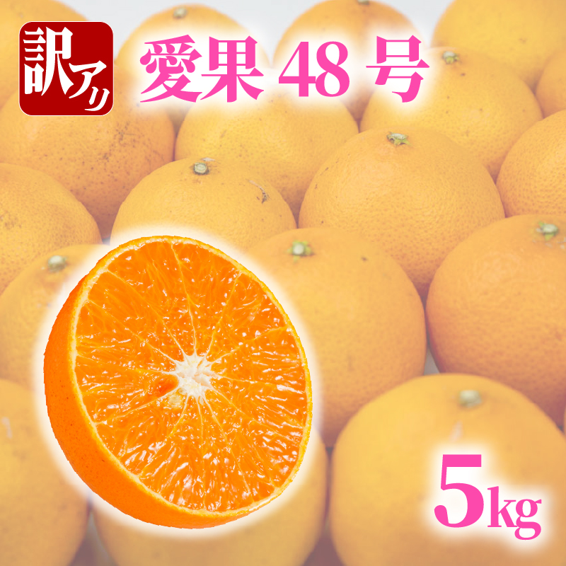 訳あり 愛果48号 約5kg | ( 紅プリンセス と同品種 ) 蜜柑 あいか48号 愛果 アイカ 柑橘 果物 くだもの フルーツ みかん ミカン mikan mican 不揃い 傷 ワケアリ 訳アリ 愛媛県 松山市 約5kg