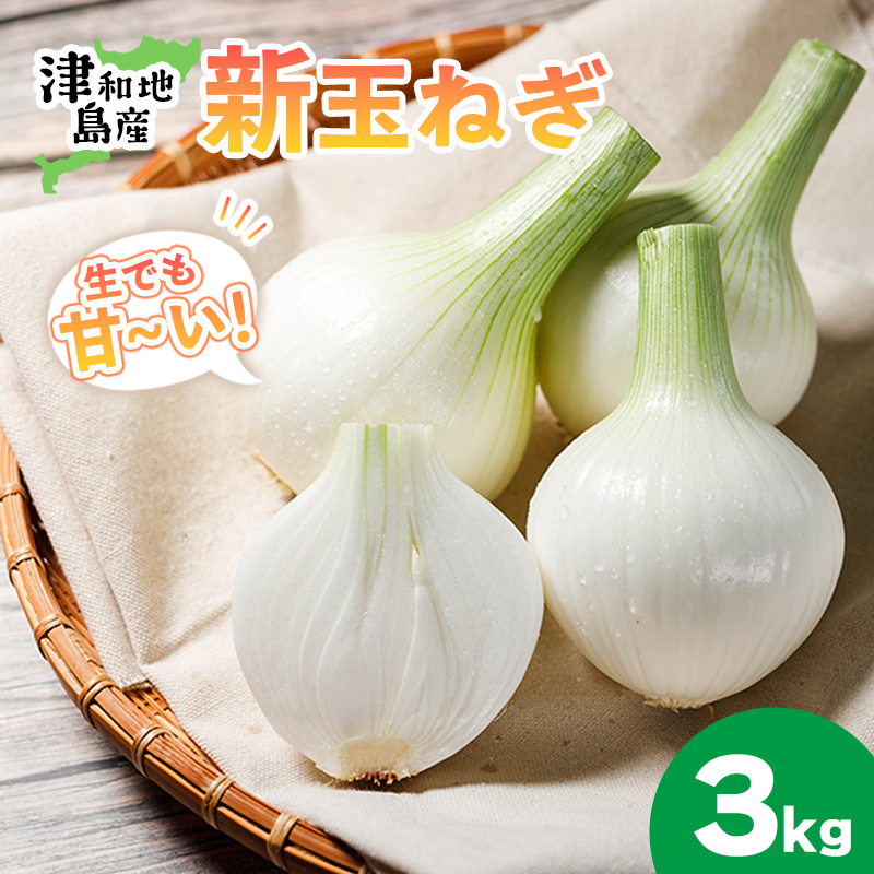 【先行予約】 津和地新玉ねぎ 3kg【津和地ブランド玉ねぎ】愛媛 松山 ブランド玉ねぎ 津和地島産 野菜 農家直送 期間限定 たまねぎ ドレッシング スープ ハンバーグ サラダ 人気 おすすめ 3kg