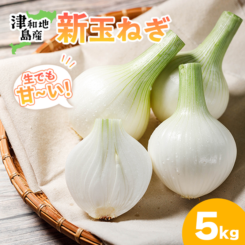 【先行予約】 津和地新玉ねぎ 5kg【津和地ブランド玉ねぎ】愛媛 松山 ブランド玉ねぎ 津和地島産 野菜 農家直送 期間限定 たまねぎ ドレッシング スープ ハンバーグ サラダ 人気 おすすめ 5kg