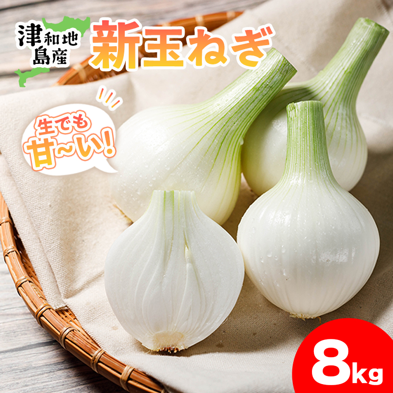 【先行予約】 津和地新玉ねぎ 8kg【津和地ブランド玉ねぎ】愛媛 松山 ブランド玉ねぎ 津和地島産 野菜 農家直送 期間限定 たまねぎ ドレッシング スープ ハンバーグ サラダ 人気 おすすめ 8kg
