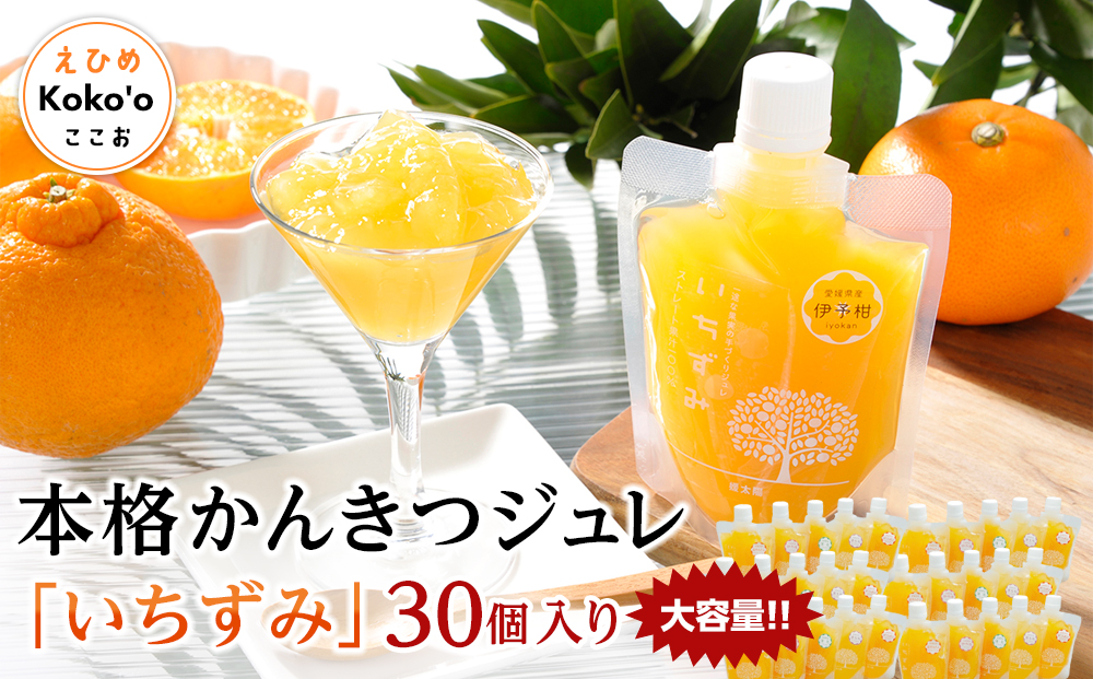 ＜大容量！＞本格かんきつジュレ「いちずみ」30個入り（簡易BOX入り）