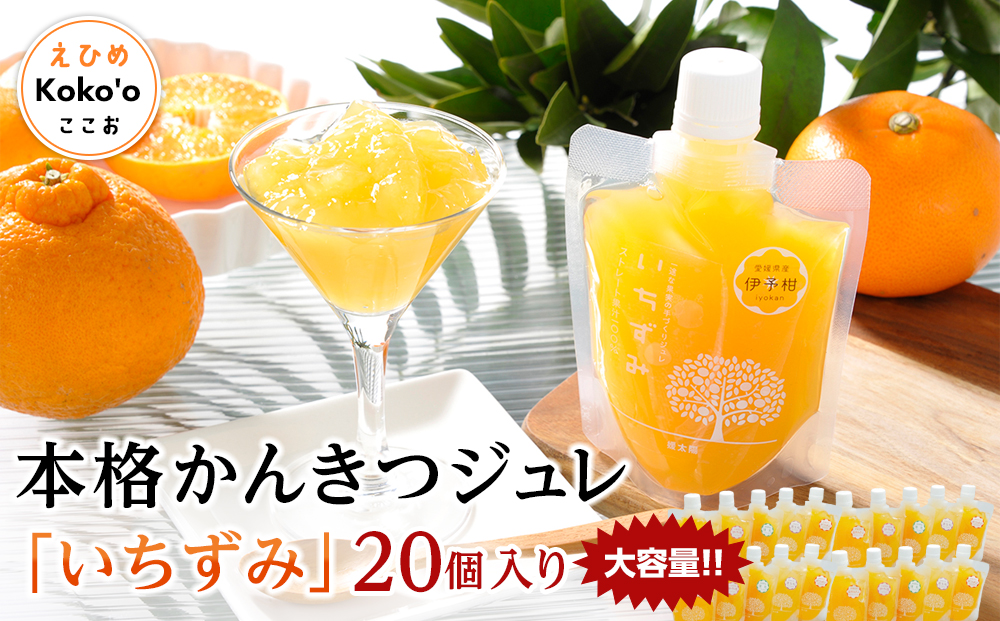 ＜大容量！＞本格かんきつジュレ「いちずみ」20個入り（簡易BOX入り）