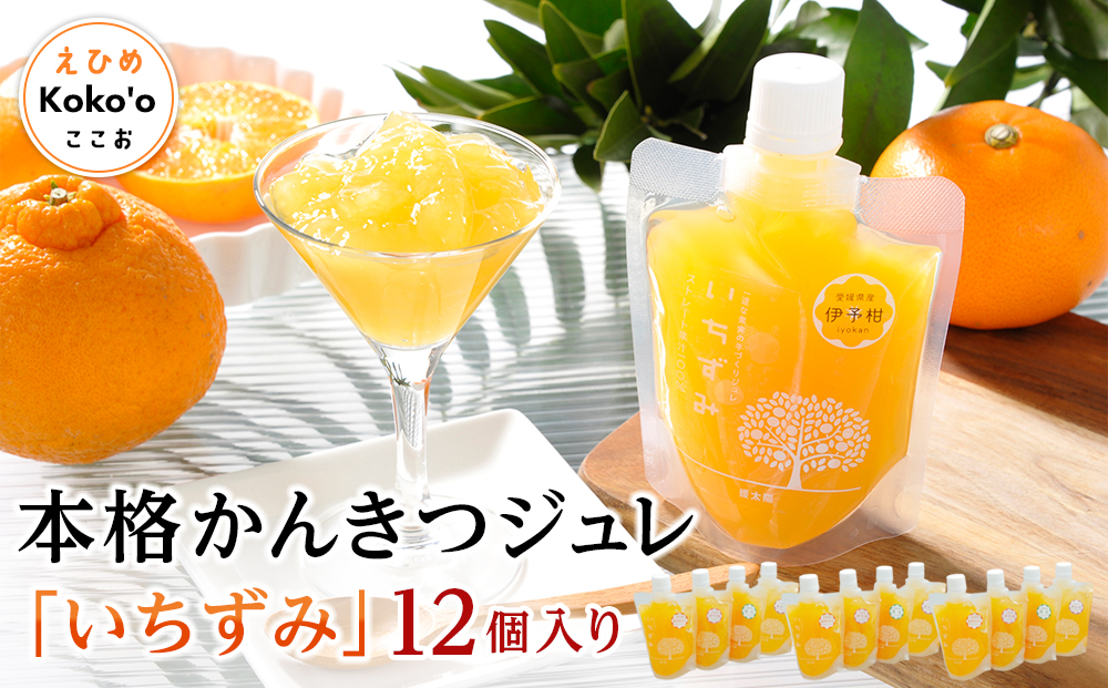 本格かんきつジュレ「いちずみ」12個入り（簡易BOX入り）