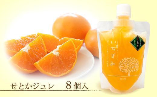 本格かんきつジュレ「いちずみ」＜せとか＞ ８個入り【化粧箱入り】