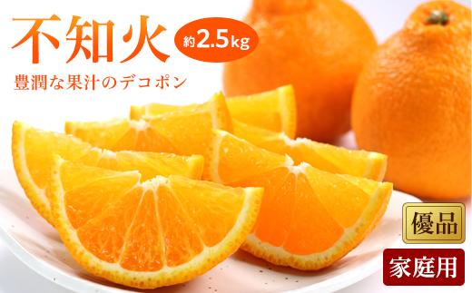 【先行予約】【2026年2月上旬から発送】不知火(しらぬい)＜家庭用・優品＞約2.5kg