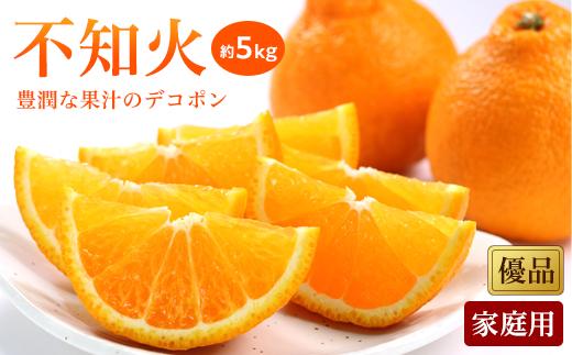 【先行予約】【2026年2月上旬から発送】不知火(しらぬい)＜家庭用・優品＞約5kg