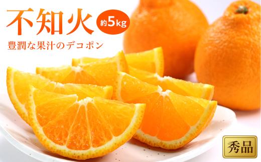 【先行予約】【2026年2月上旬から発送】不知火(しらぬい)＜秀品＞約5kg