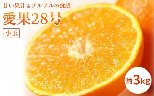 愛果28号 (紅まどんな と同品種) 小玉 約3kg 【2025年11月中旬から発送予定】 |  愛媛産 愛媛県産 国産 愛媛みかん 愛媛蜜柑 愛媛ミカン みかん ミカン mikan 蜜柑 柑橘 フルーツ 果物 くだもの お取り寄せ 産地直送 数量限定 人気 おすすめ 愛媛県 松山市 送料無料