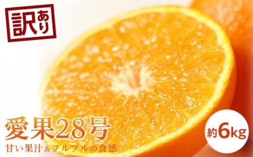 【11月中旬から発送予定】＜訳あり＞愛果28号 約６kg