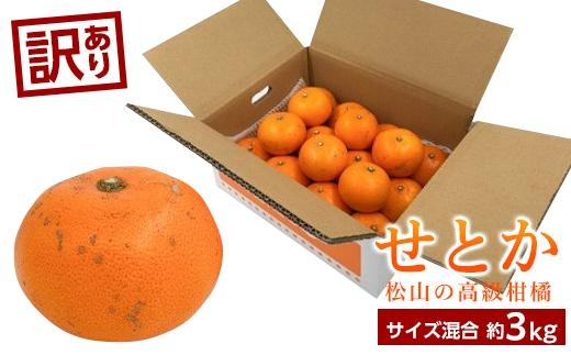 【1月下旬より発送】＜訳あり＞ せとか 約3kg