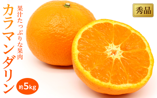 【2026年4月上旬頃から発送予定】 カラマンダリン＜秀品＞約5kg