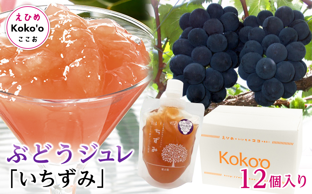「いちずみ」ぶどうジュレ １２個入り (ココオ簡易BOX入り)