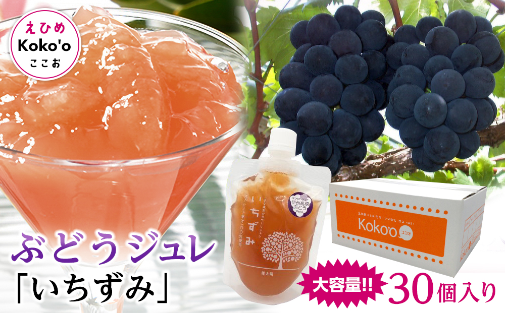 ＜大容量＞「いちずみ」ぶどうジュレ ３０個入り (ココオ簡易BOX入り)