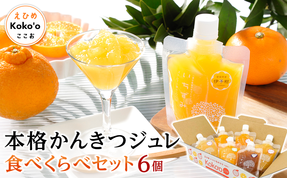 「いちずみ」食べ比べセット６個入り (ぶどう入り) (ココオ簡易BOX入り)