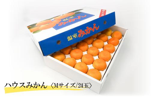 【6月下旬から発送】 2025年6月より発送 ハウスみかん（温室みかん・ハウス栽培)【期間限定】