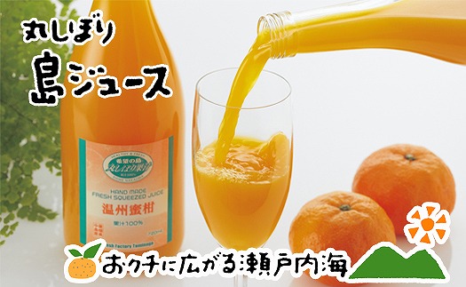 みかんジュース  みかんジュース 「丸しぼり果汁」 720mｌ×2本 化粧箱入 希望の島