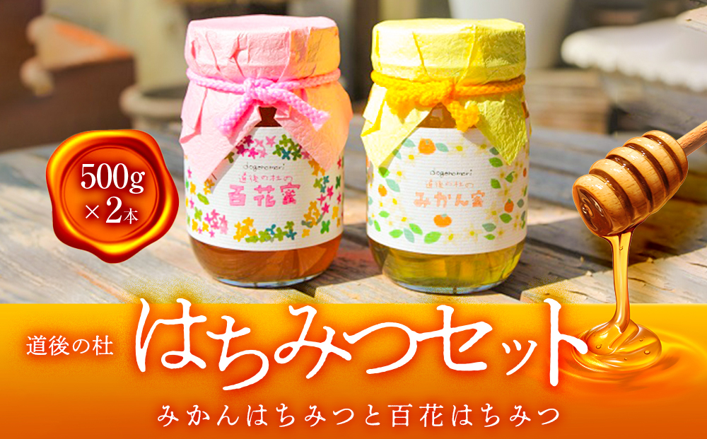 道後の杜 はちみつセット（500g×2本）